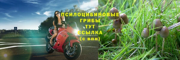 кокаин Богданович