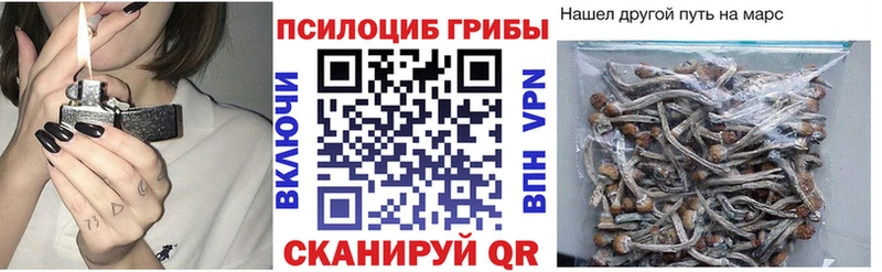 МЕГА как войти  Шарыпово  Галлюциногенные грибы Cubensis 