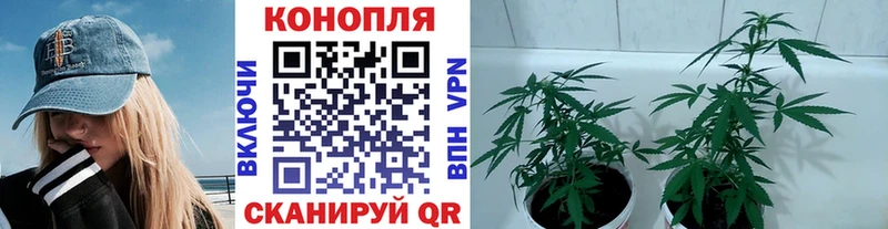 Каннабис VHQ  Шарыпово 